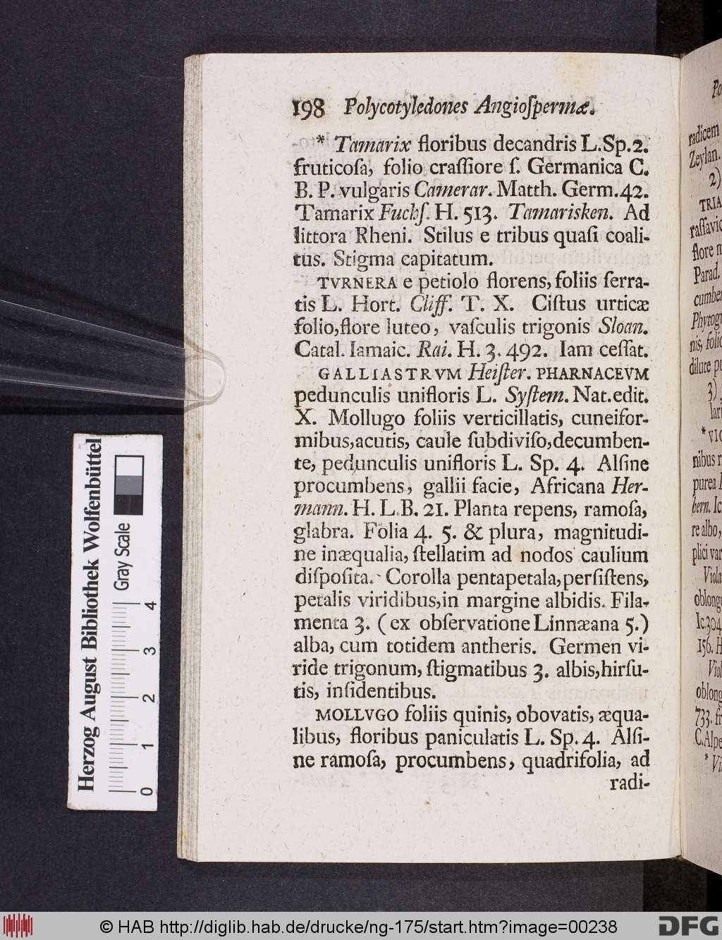 http://diglib.hab.de/drucke/ng-175/00238.jpg