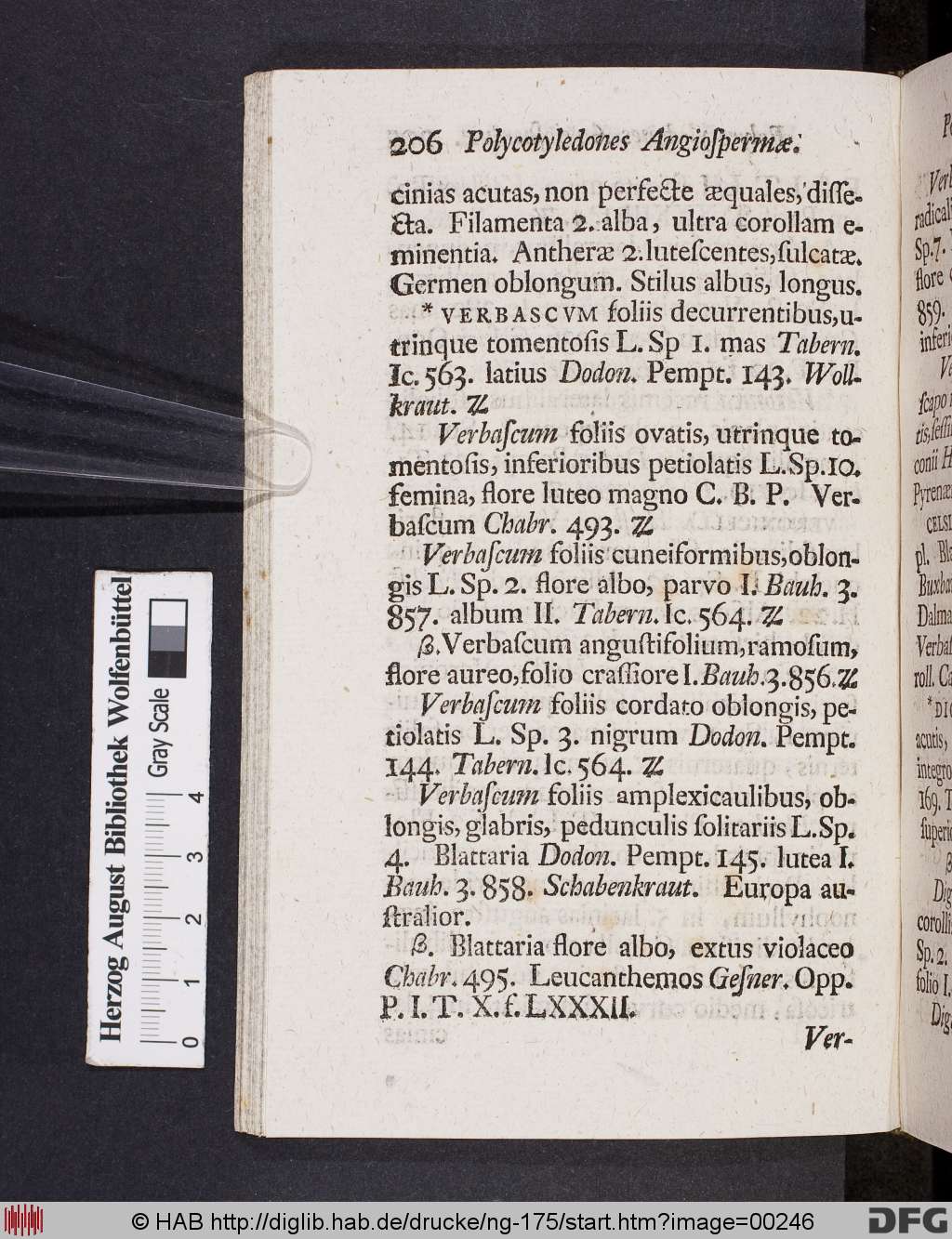 http://diglib.hab.de/drucke/ng-175/00246.jpg