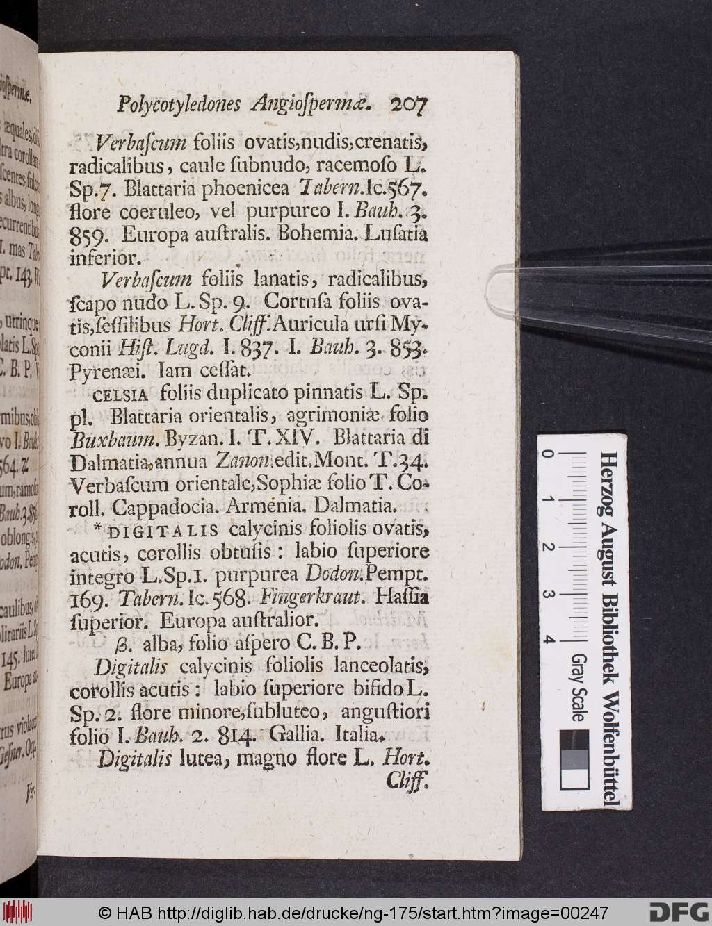 http://diglib.hab.de/drucke/ng-175/00247.jpg