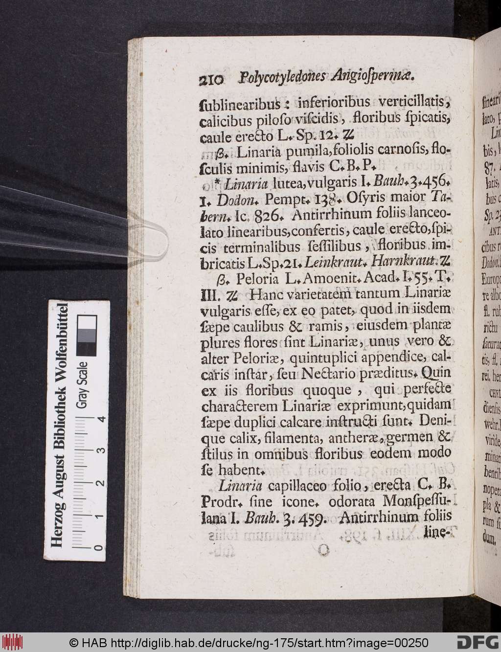 http://diglib.hab.de/drucke/ng-175/00250.jpg