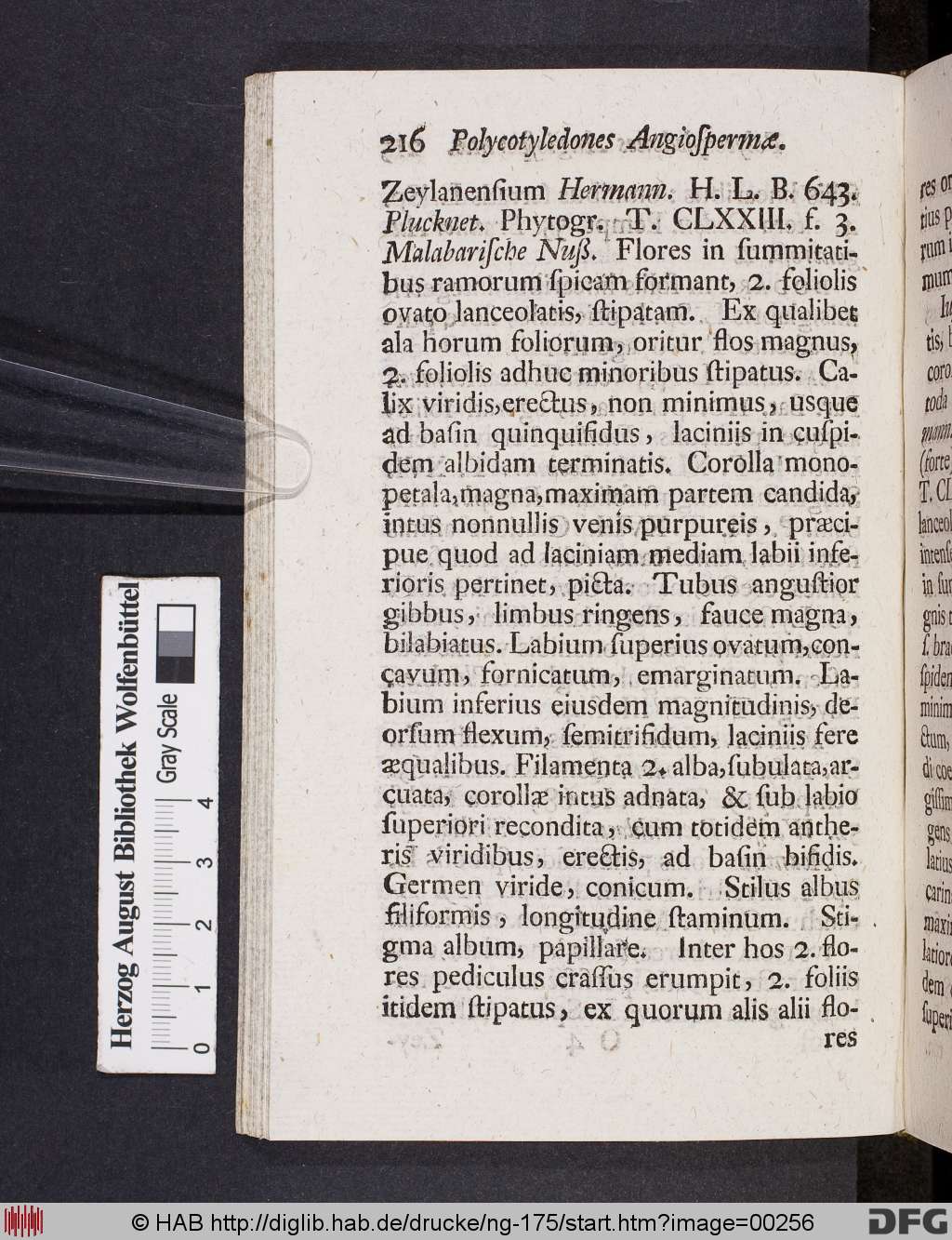 http://diglib.hab.de/drucke/ng-175/00256.jpg