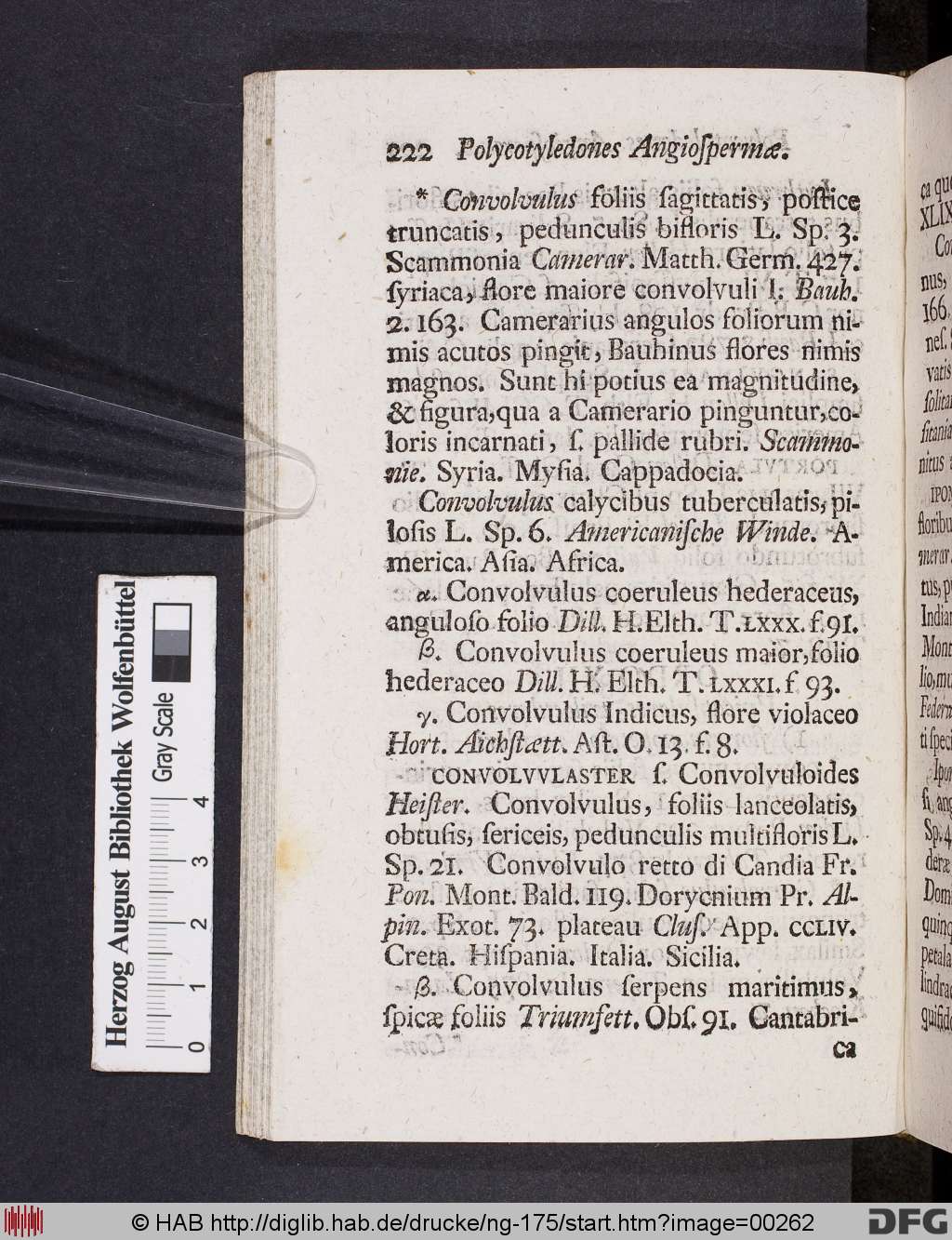 http://diglib.hab.de/drucke/ng-175/00262.jpg