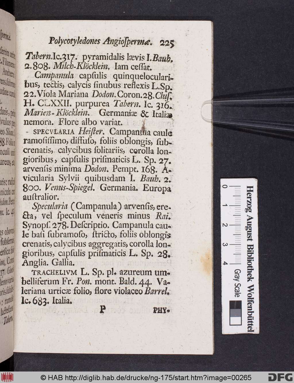 http://diglib.hab.de/drucke/ng-175/00265.jpg
