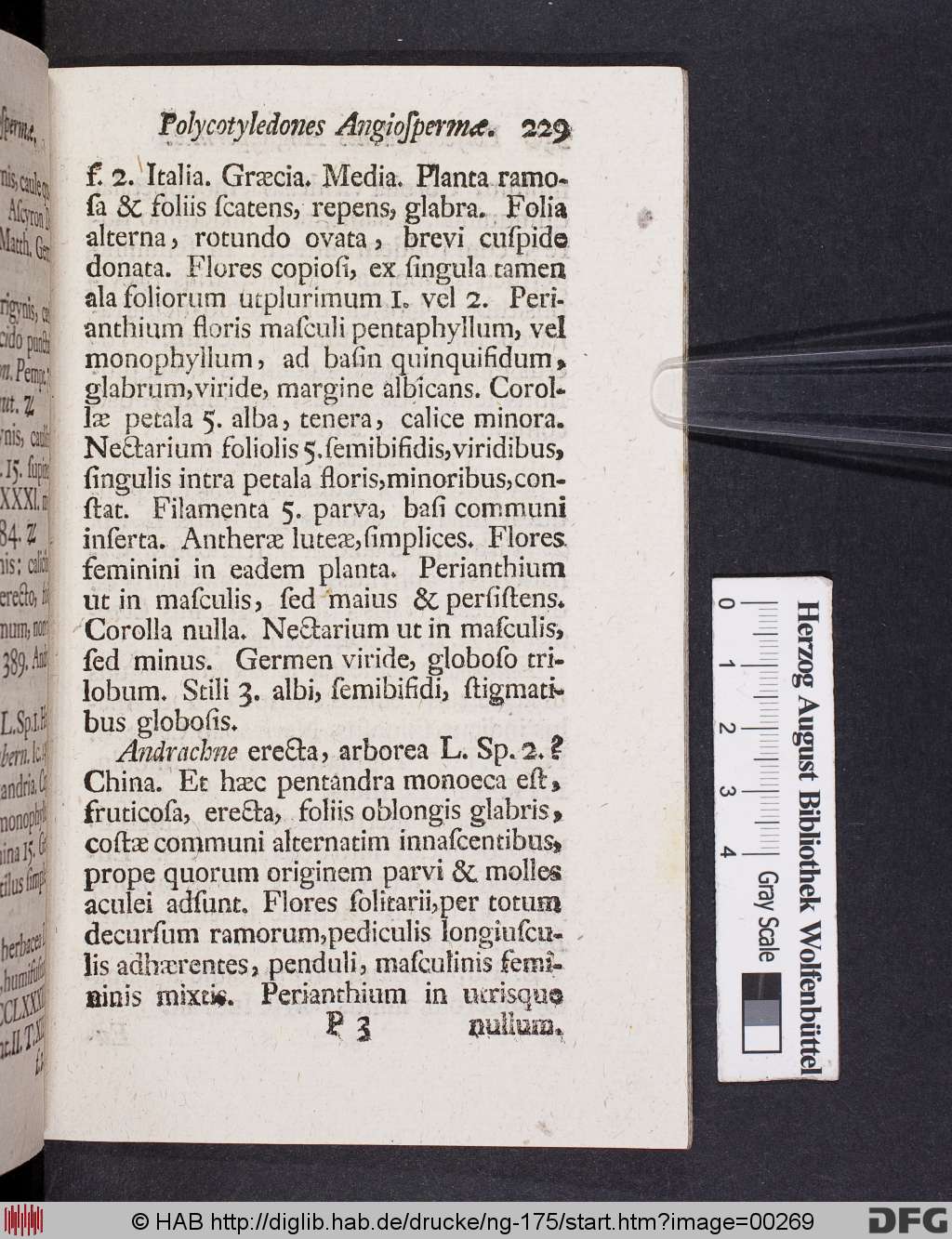 http://diglib.hab.de/drucke/ng-175/00269.jpg