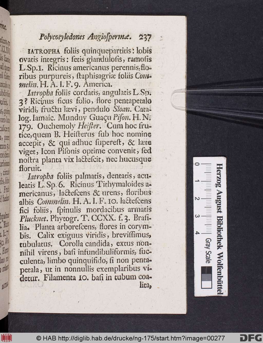 http://diglib.hab.de/drucke/ng-175/00277.jpg