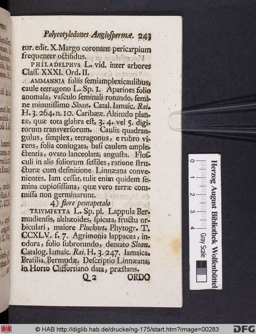 http://diglib.hab.de/drucke/ng-175/00283.jpg