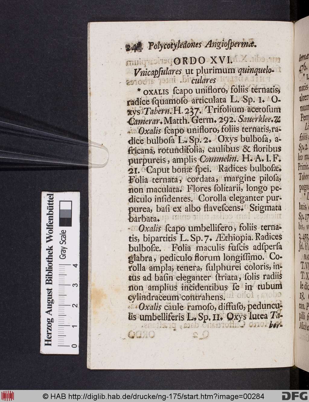 http://diglib.hab.de/drucke/ng-175/00284.jpg