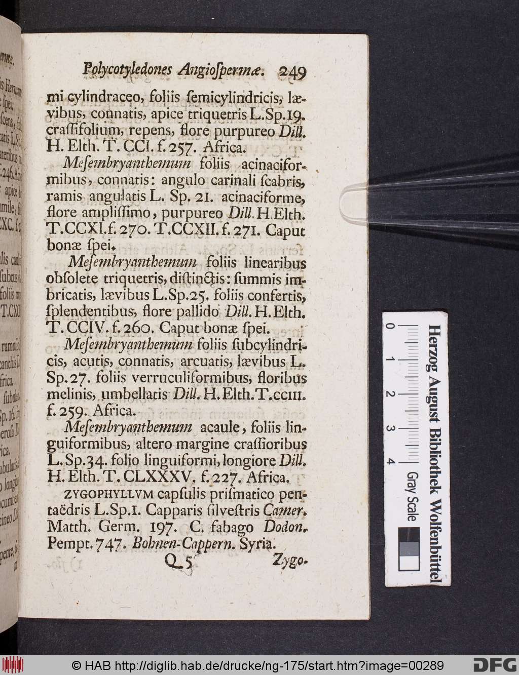 http://diglib.hab.de/drucke/ng-175/00289.jpg
