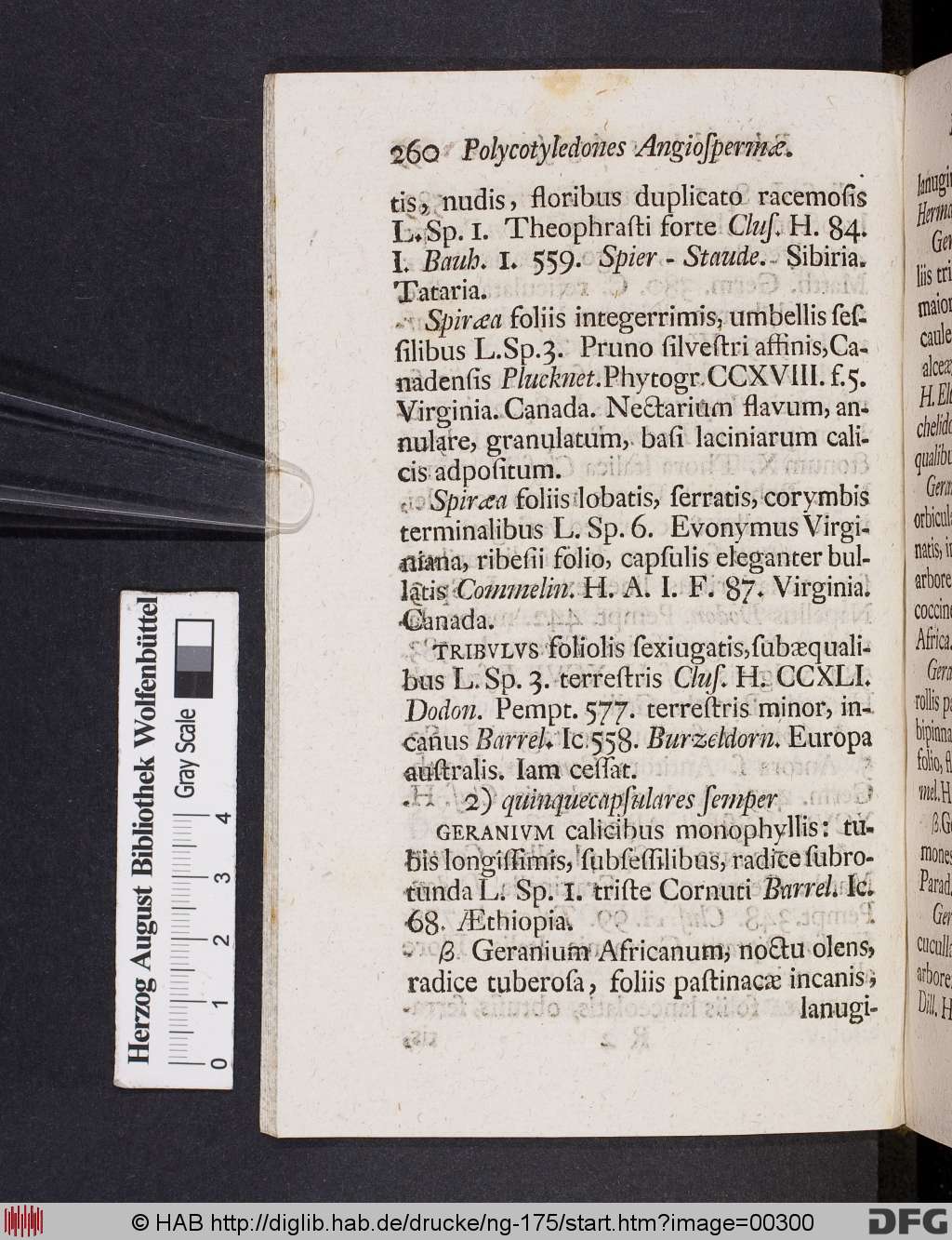http://diglib.hab.de/drucke/ng-175/00300.jpg