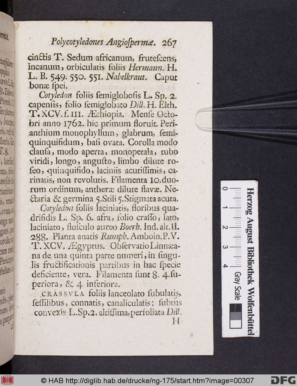http://diglib.hab.de/drucke/ng-175/00307.jpg