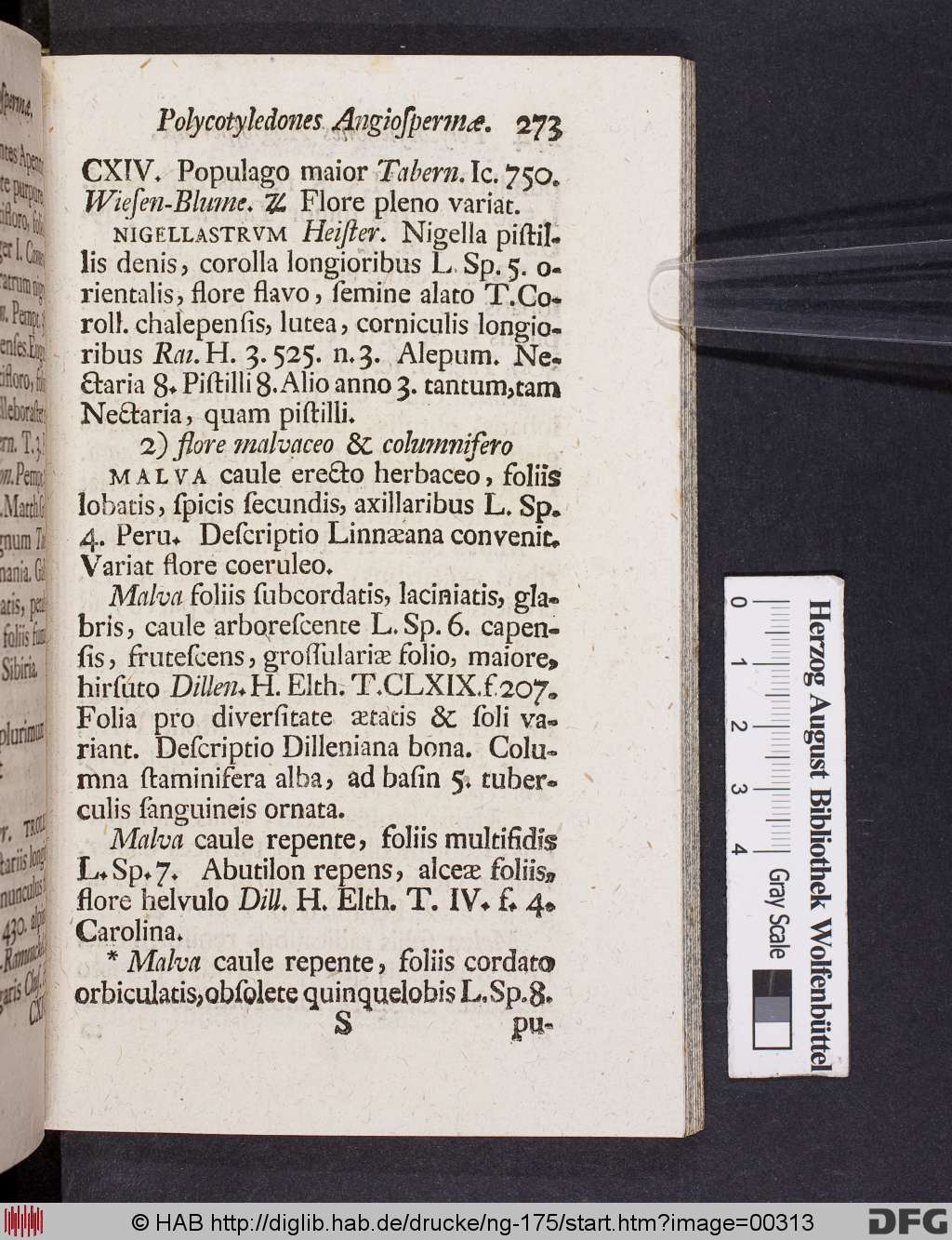 http://diglib.hab.de/drucke/ng-175/00313.jpg