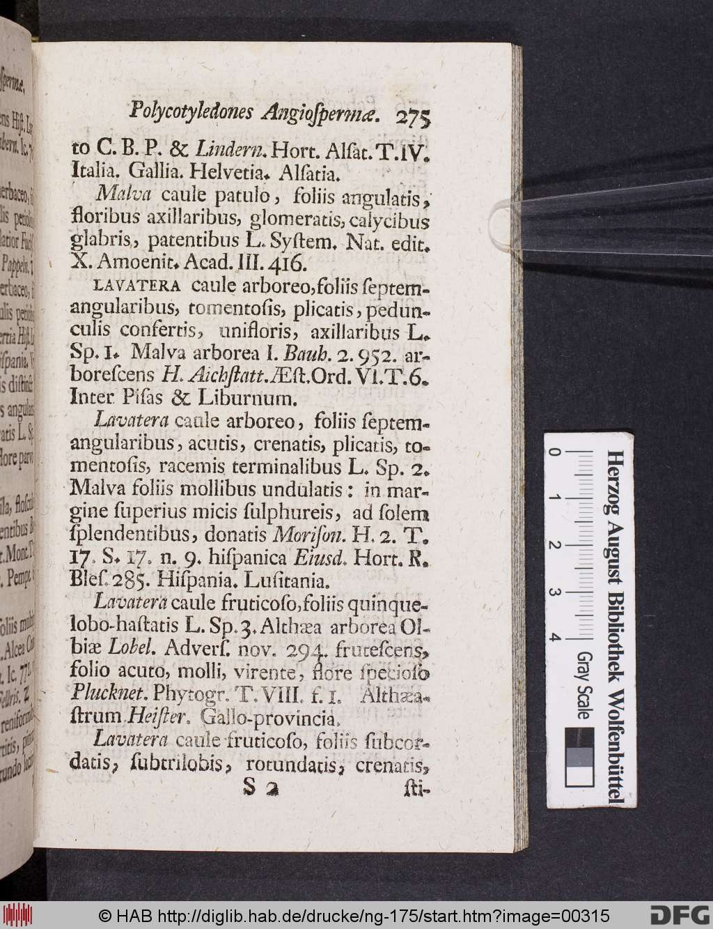 http://diglib.hab.de/drucke/ng-175/00315.jpg