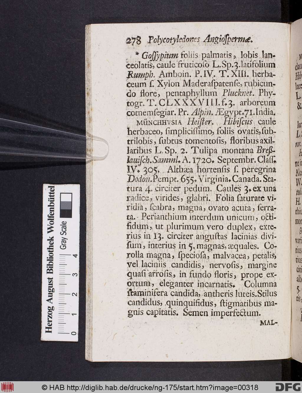 http://diglib.hab.de/drucke/ng-175/00318.jpg