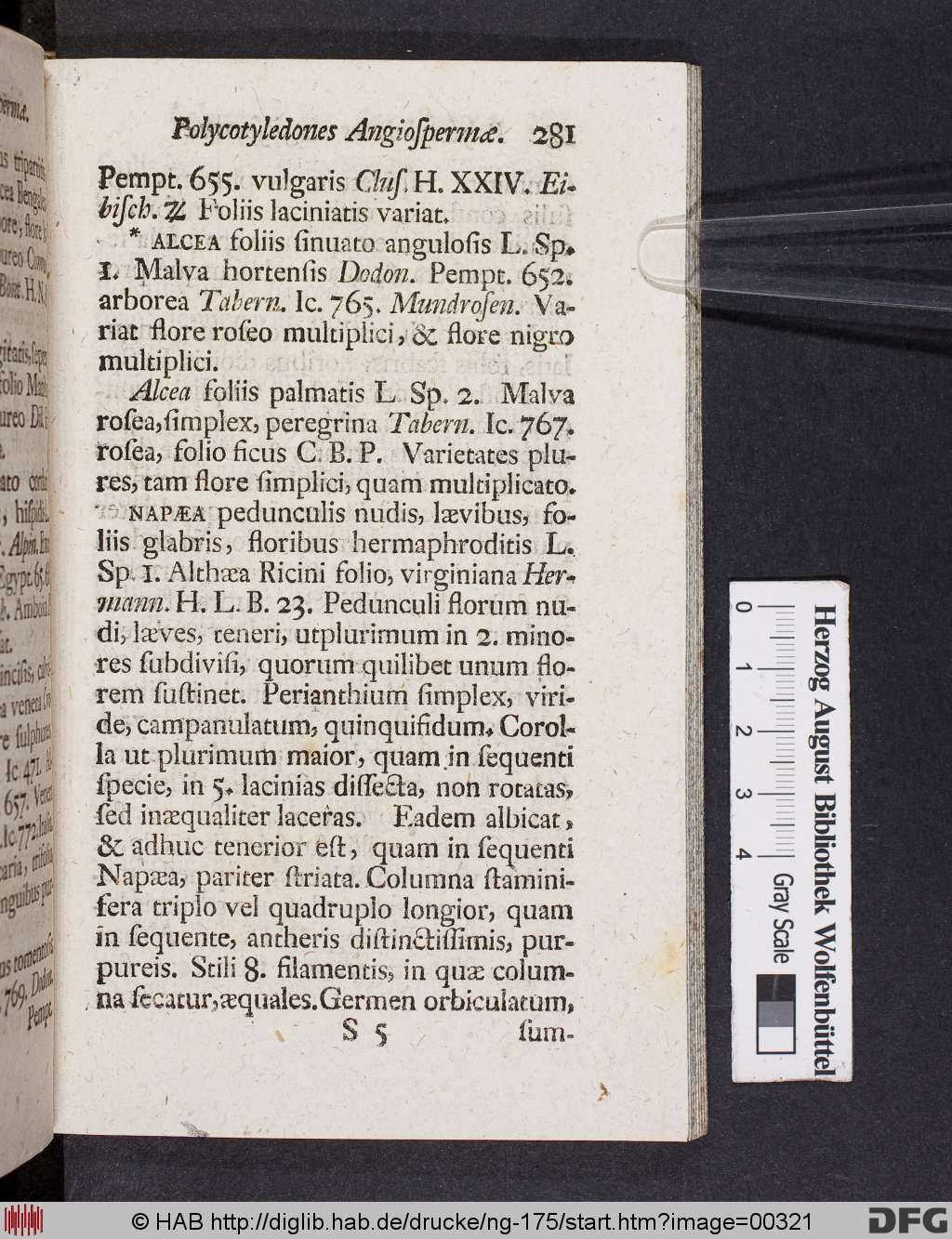 http://diglib.hab.de/drucke/ng-175/00321.jpg