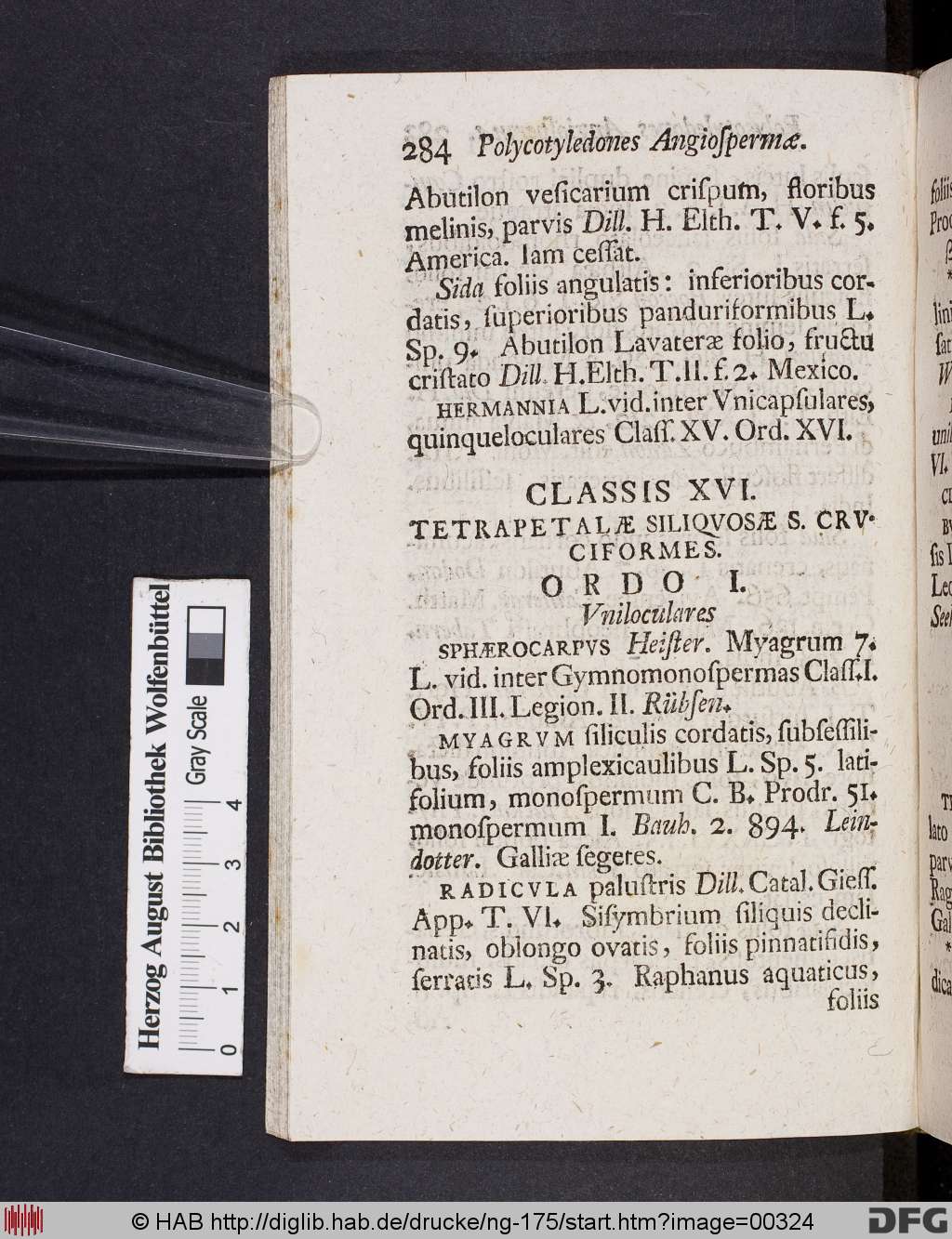 http://diglib.hab.de/drucke/ng-175/00324.jpg