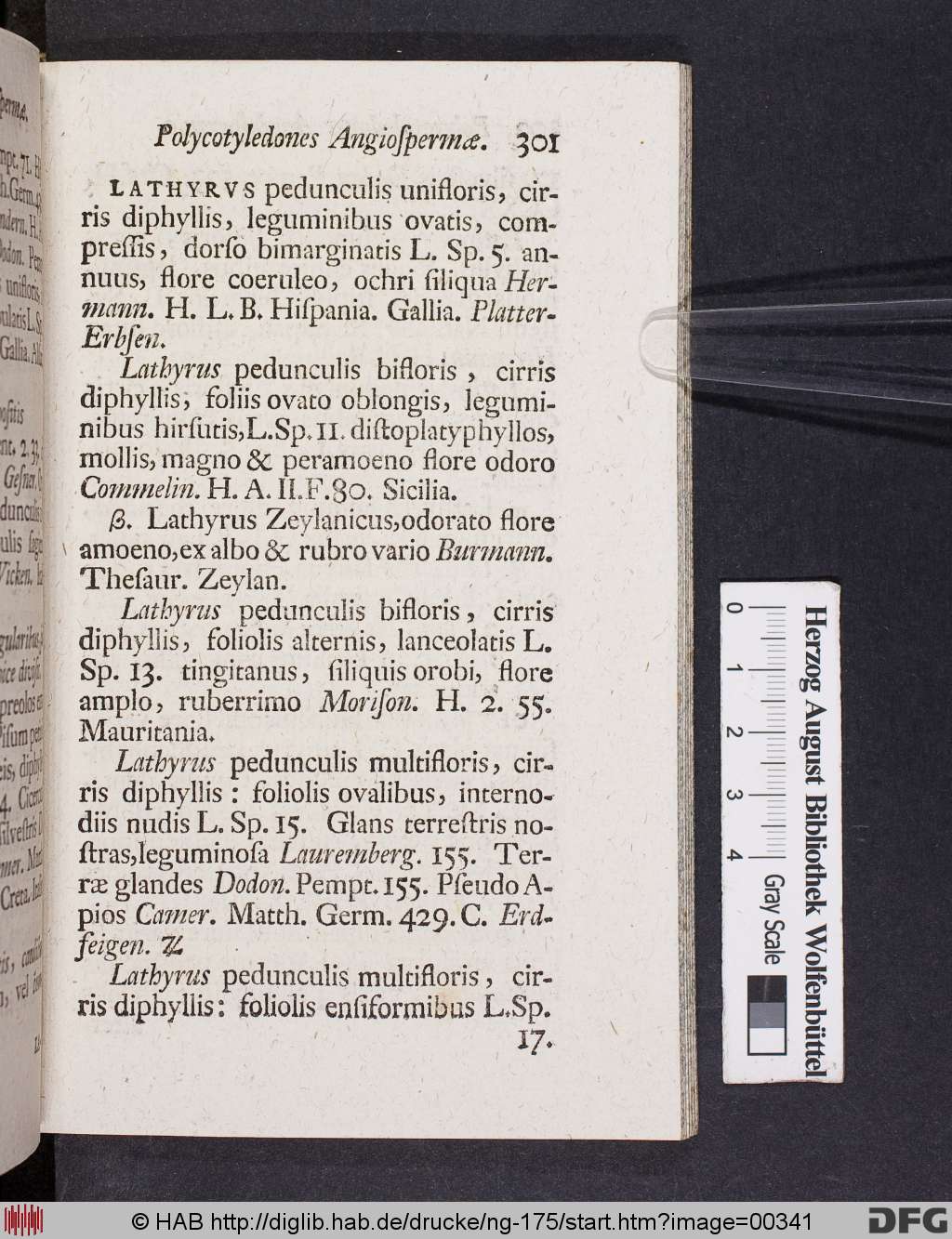 http://diglib.hab.de/drucke/ng-175/00341.jpg