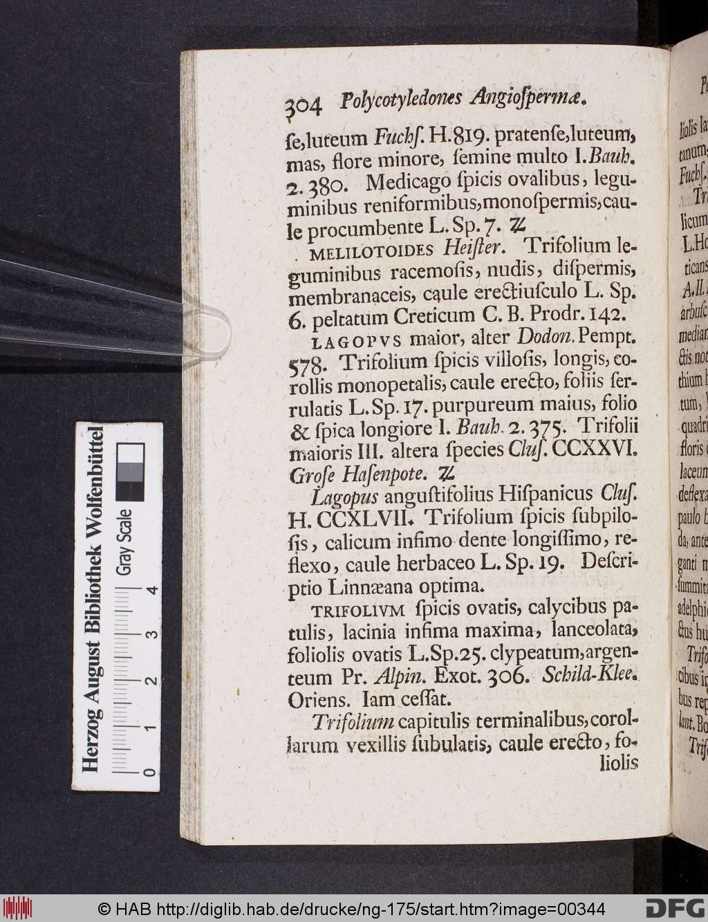 http://diglib.hab.de/drucke/ng-175/00344.jpg
