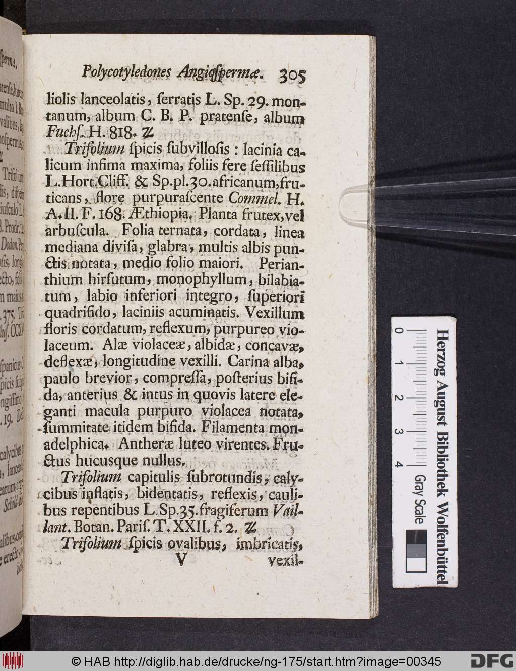 http://diglib.hab.de/drucke/ng-175/00345.jpg