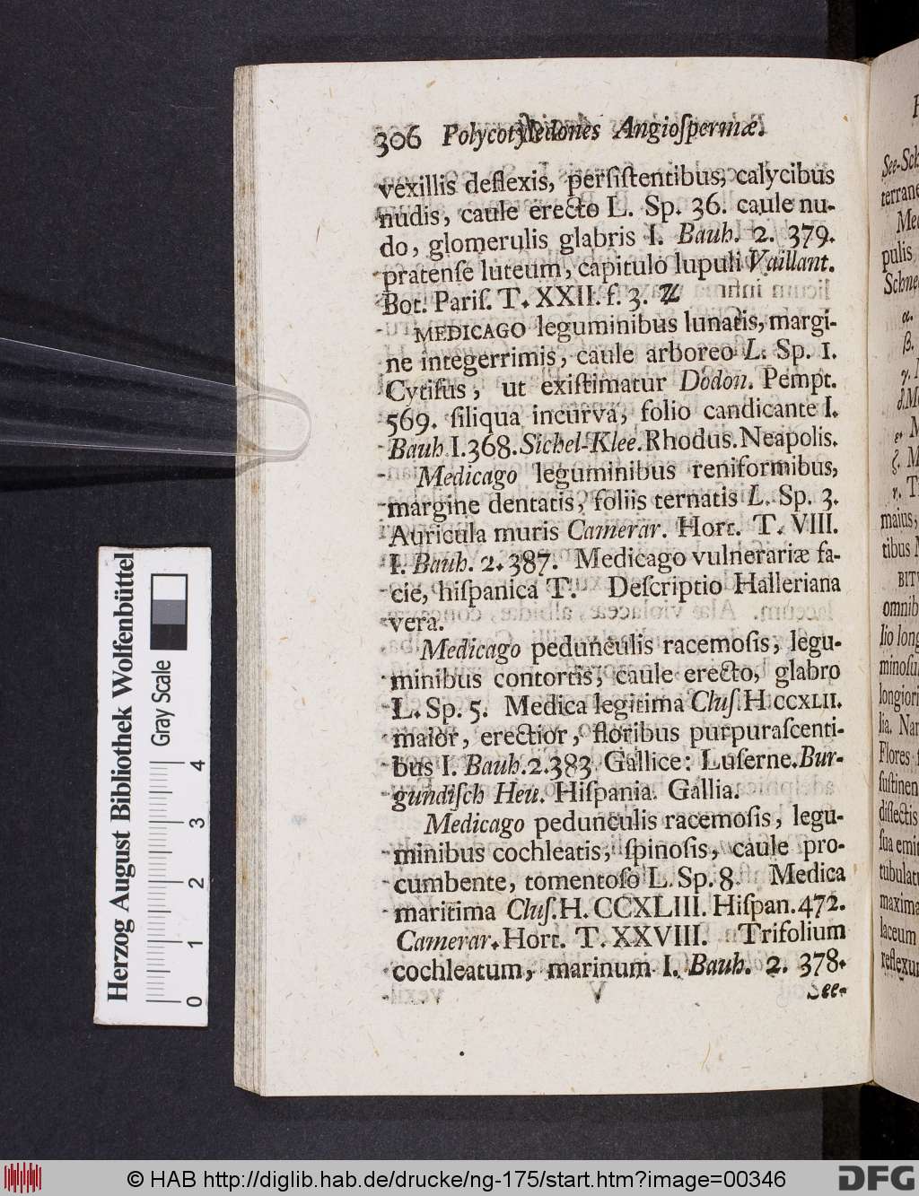 http://diglib.hab.de/drucke/ng-175/00346.jpg