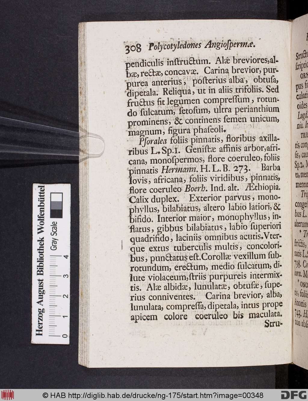 http://diglib.hab.de/drucke/ng-175/00348.jpg