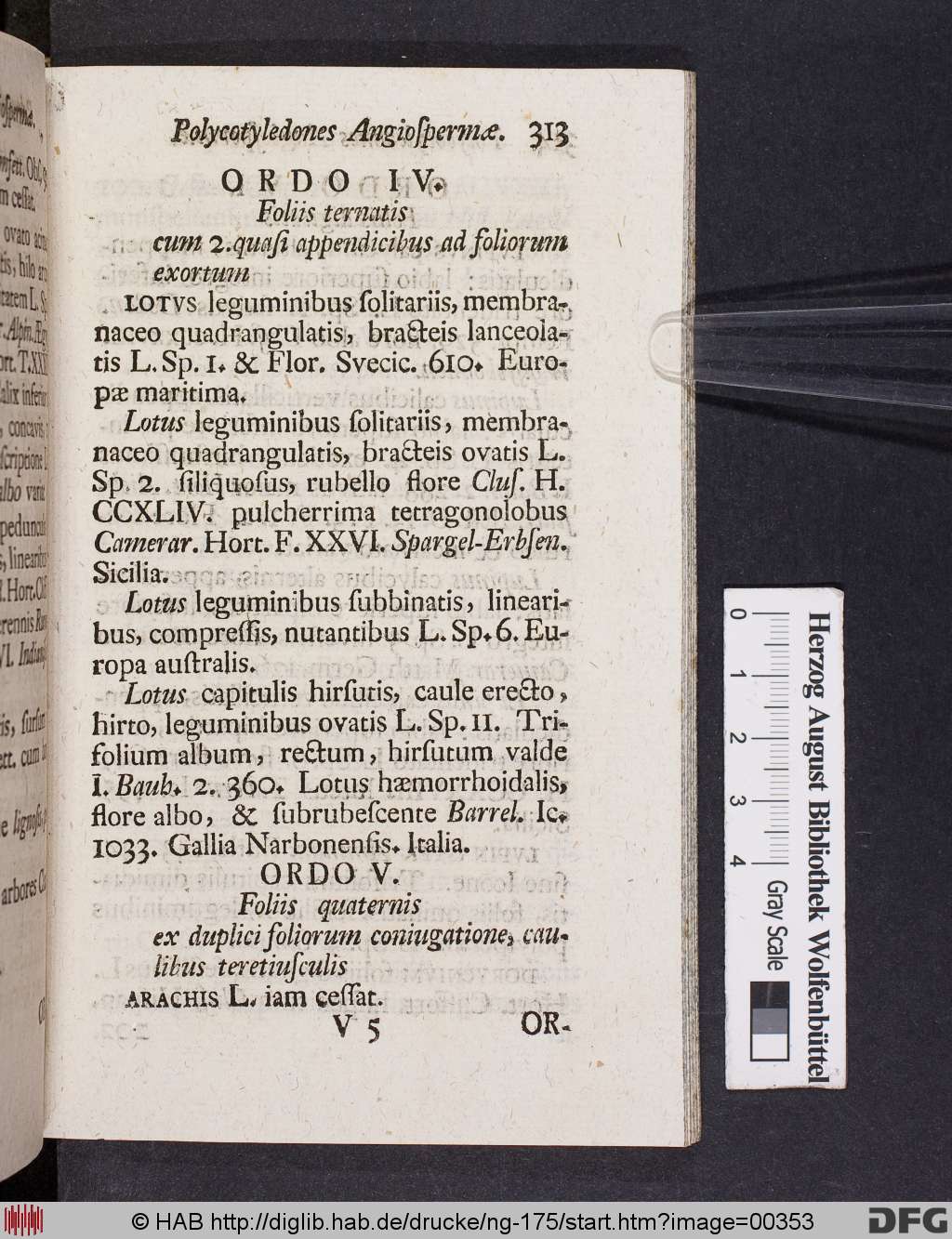 http://diglib.hab.de/drucke/ng-175/00353.jpg
