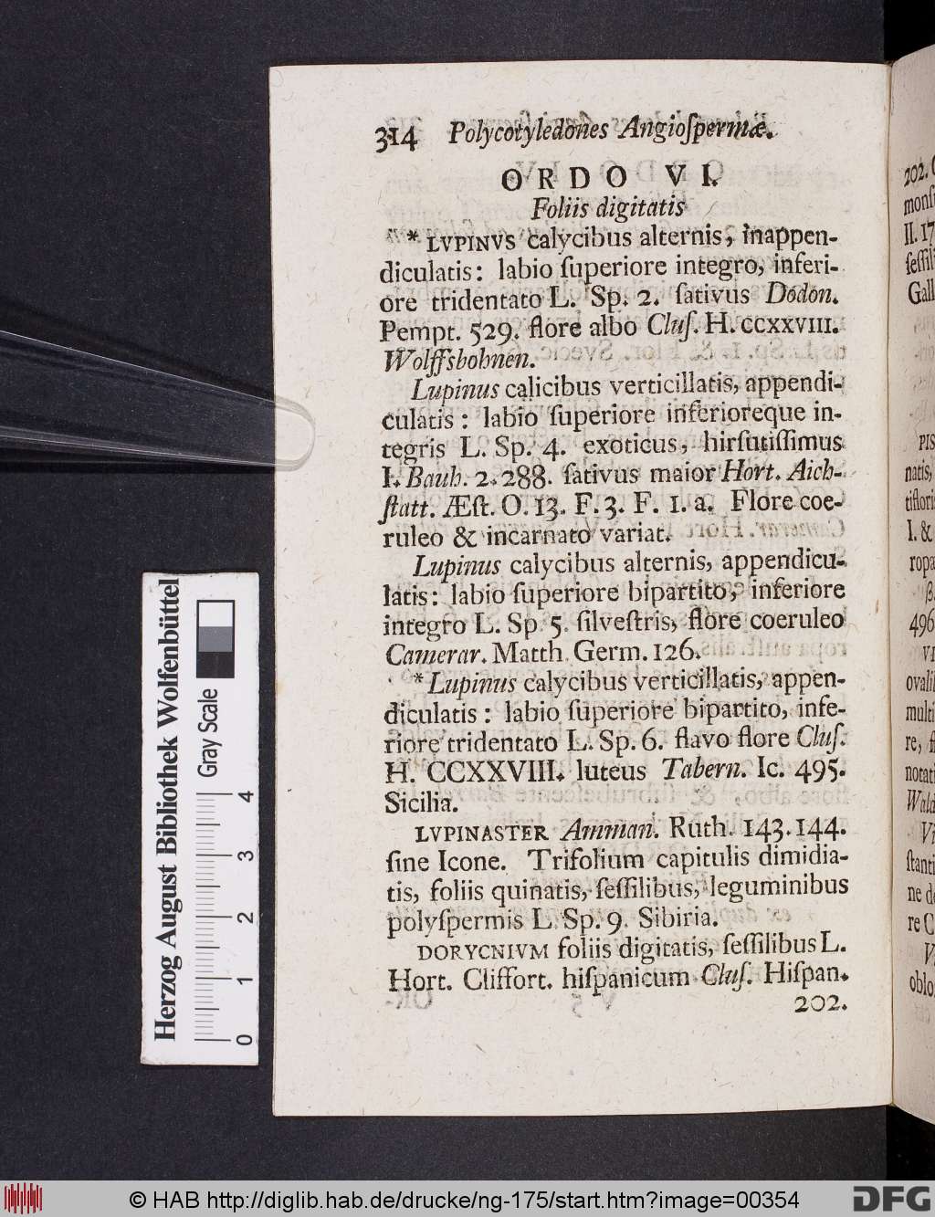 http://diglib.hab.de/drucke/ng-175/00354.jpg