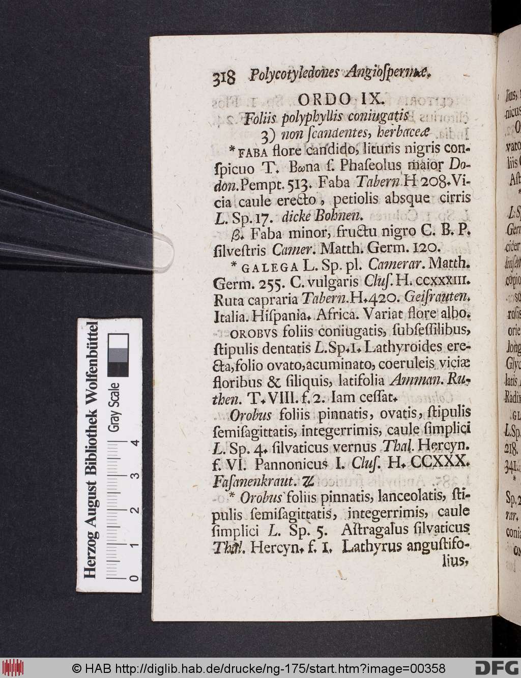 http://diglib.hab.de/drucke/ng-175/00358.jpg