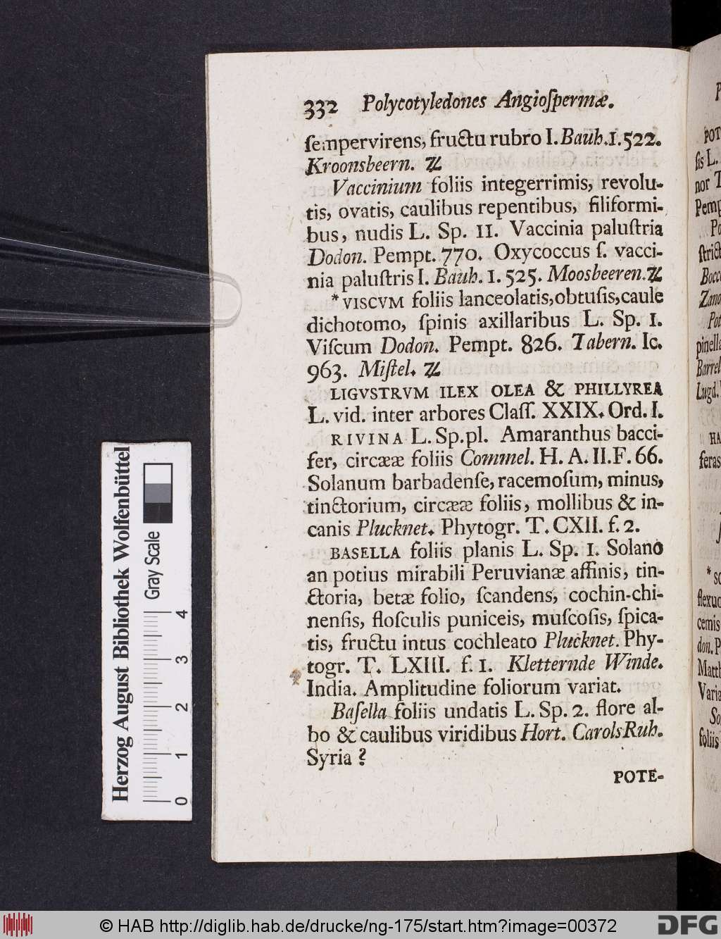 http://diglib.hab.de/drucke/ng-175/00372.jpg