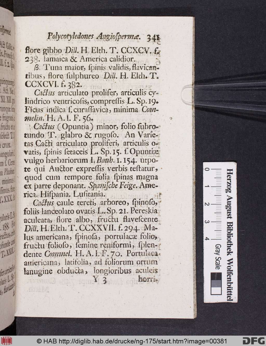 http://diglib.hab.de/drucke/ng-175/00381.jpg
