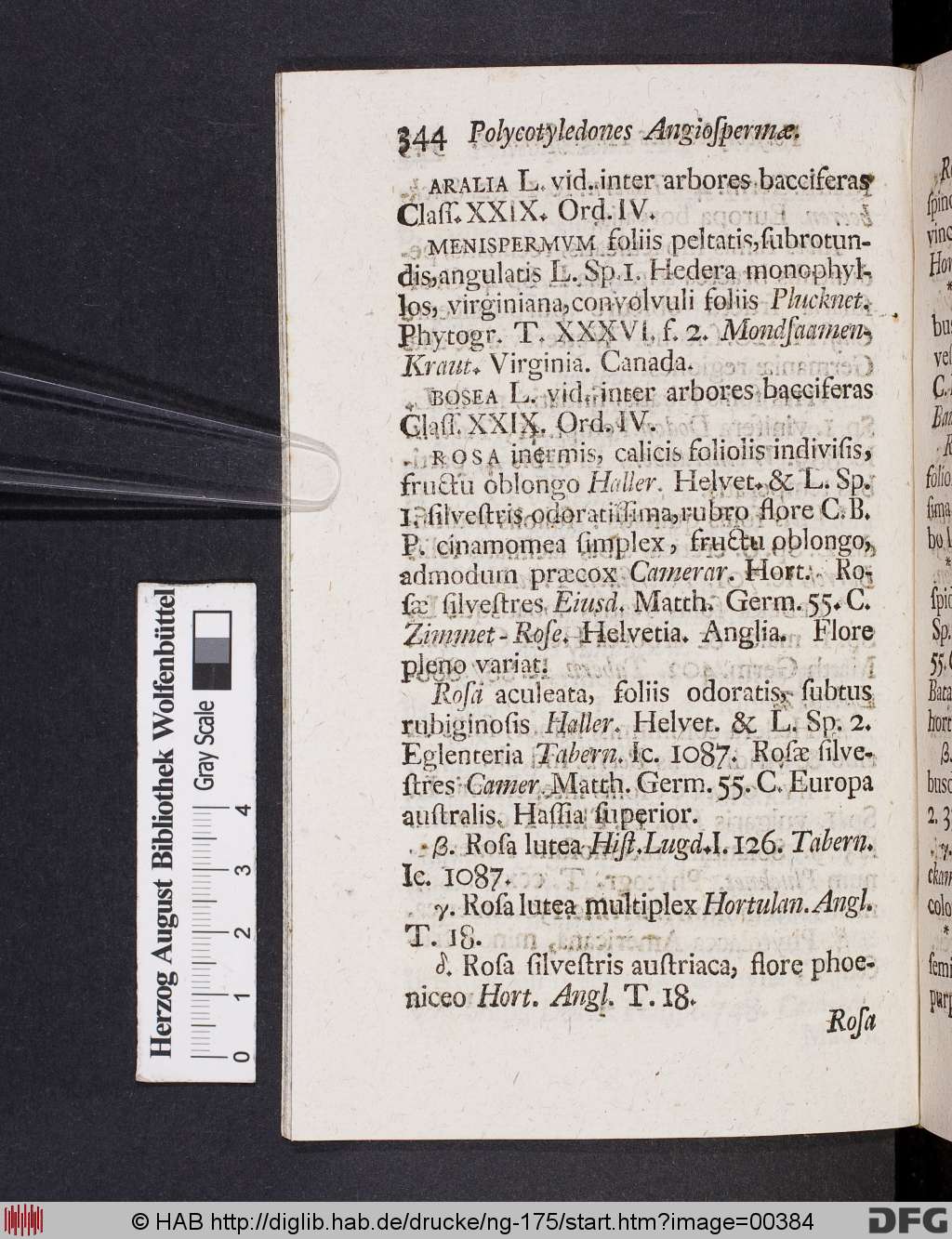 http://diglib.hab.de/drucke/ng-175/00384.jpg