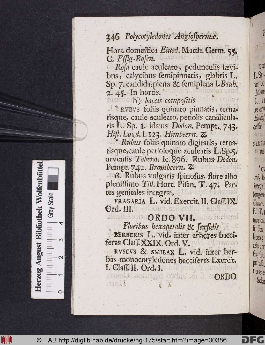 http://diglib.hab.de/drucke/ng-175/00386.jpg