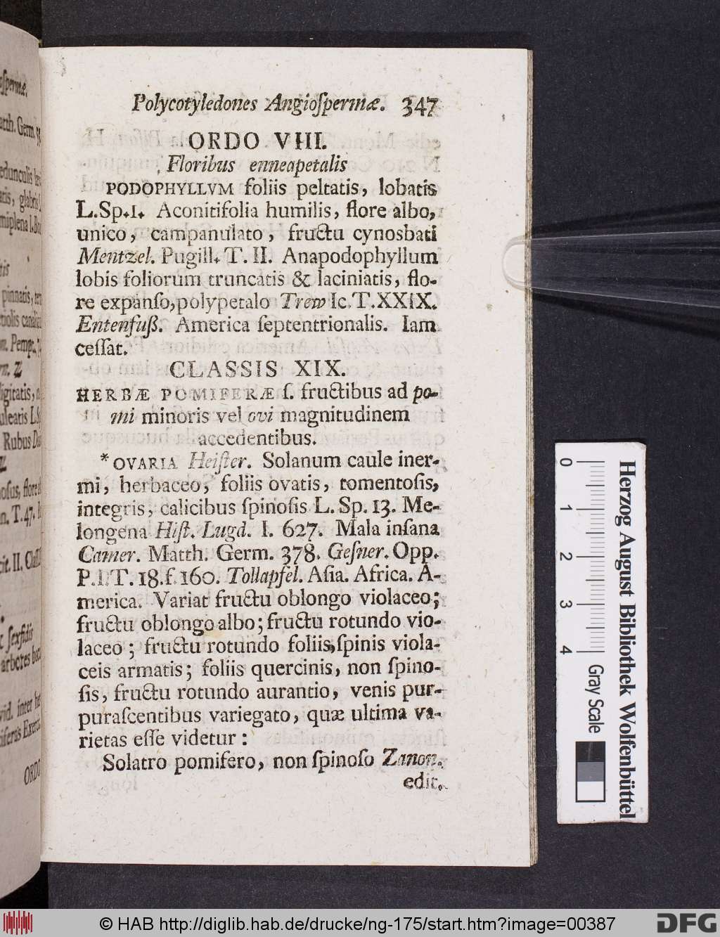http://diglib.hab.de/drucke/ng-175/00387.jpg