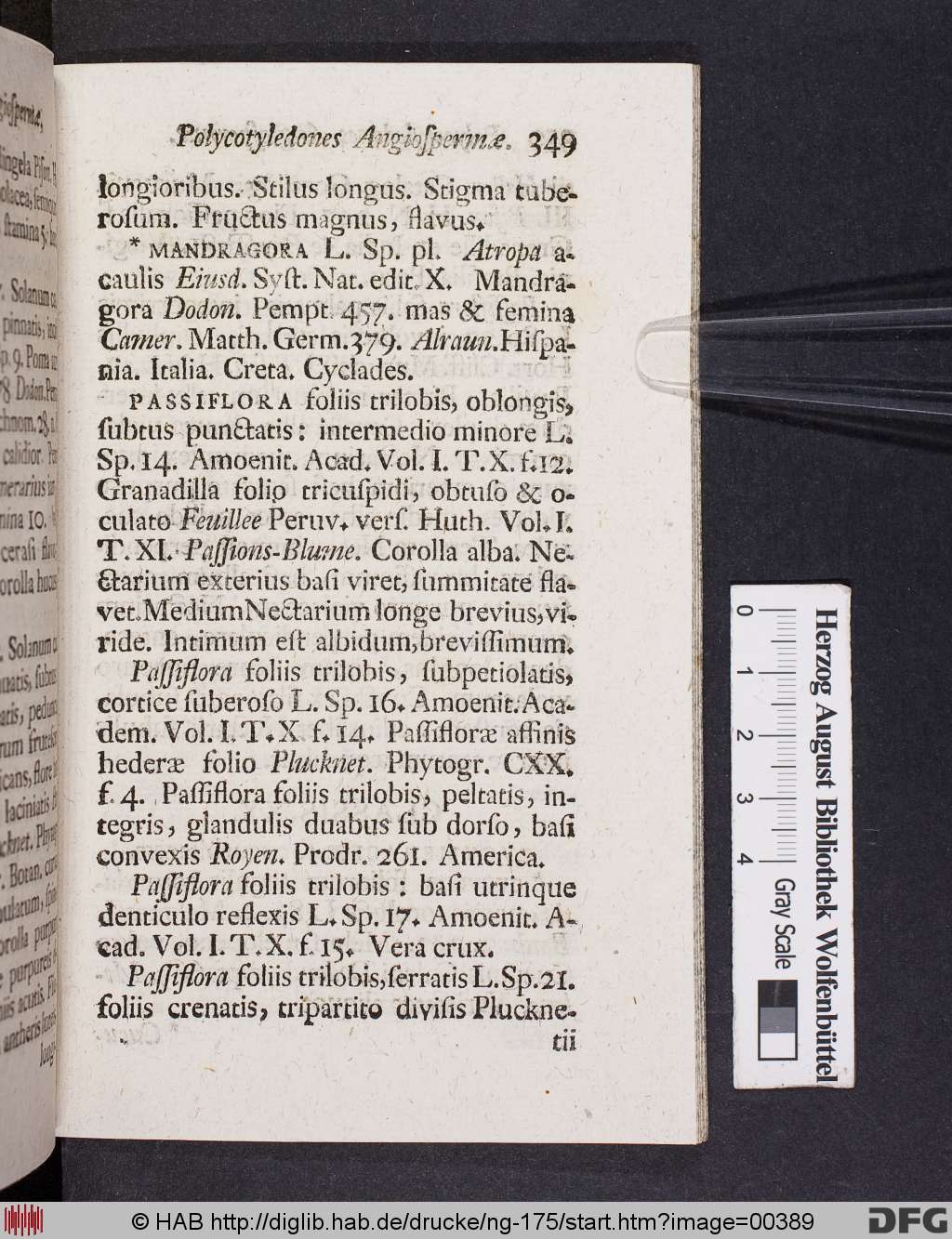 http://diglib.hab.de/drucke/ng-175/00389.jpg