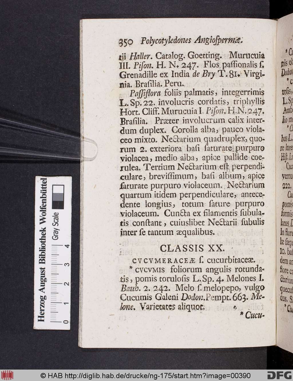 http://diglib.hab.de/drucke/ng-175/00390.jpg