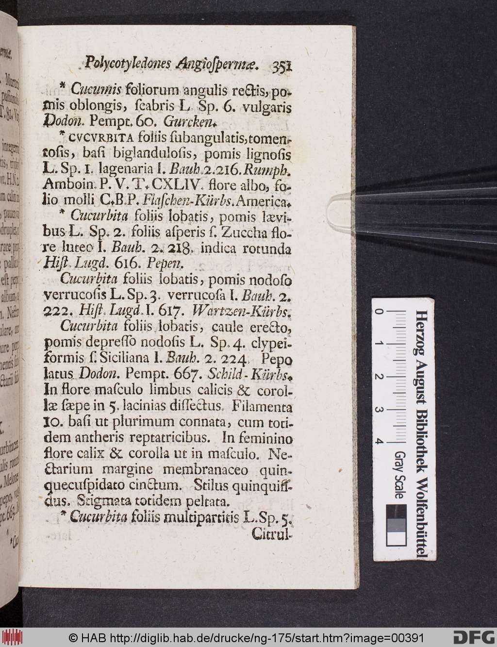 http://diglib.hab.de/drucke/ng-175/00391.jpg