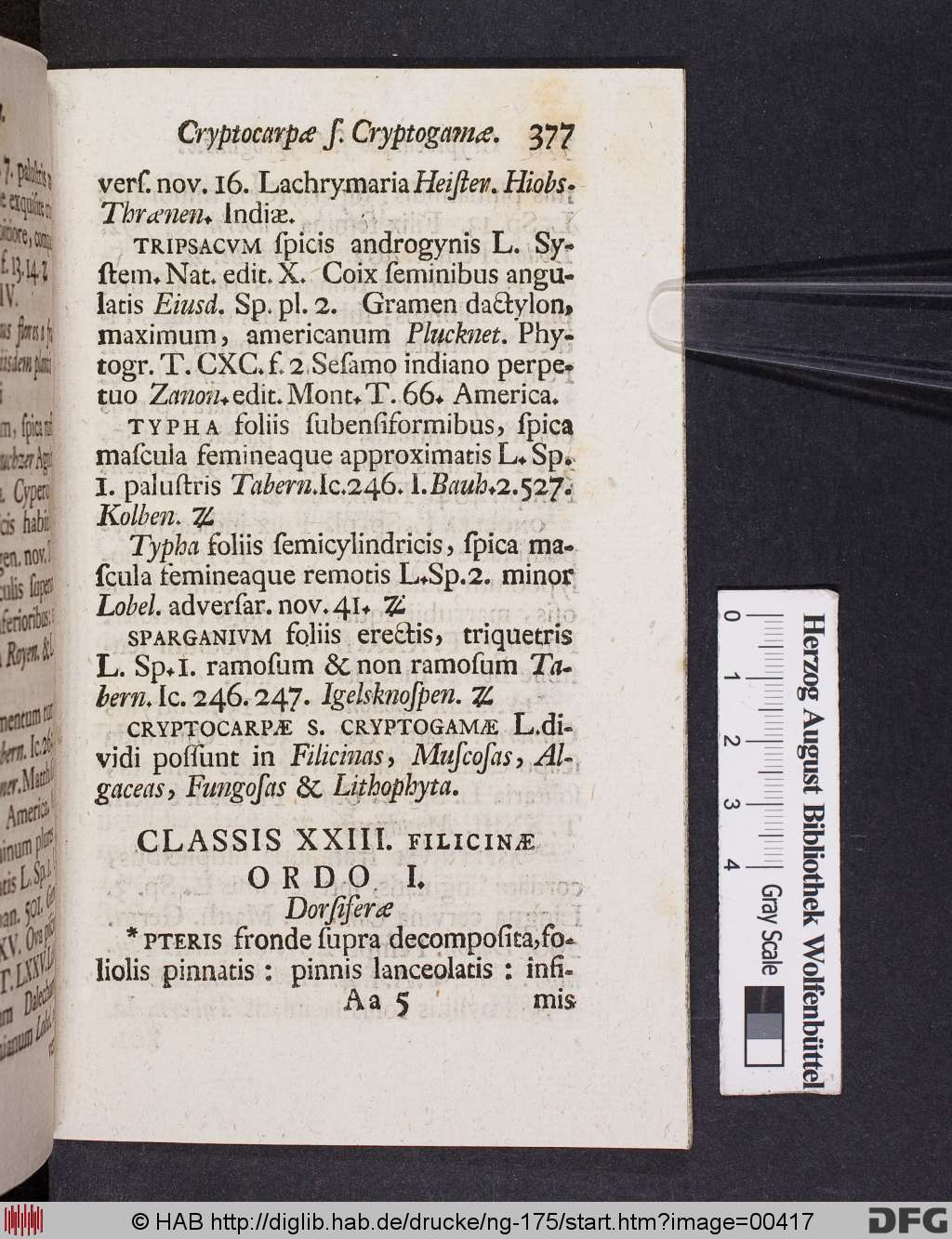 http://diglib.hab.de/drucke/ng-175/00417.jpg