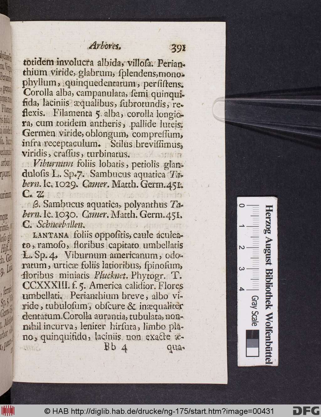 http://diglib.hab.de/drucke/ng-175/00431.jpg