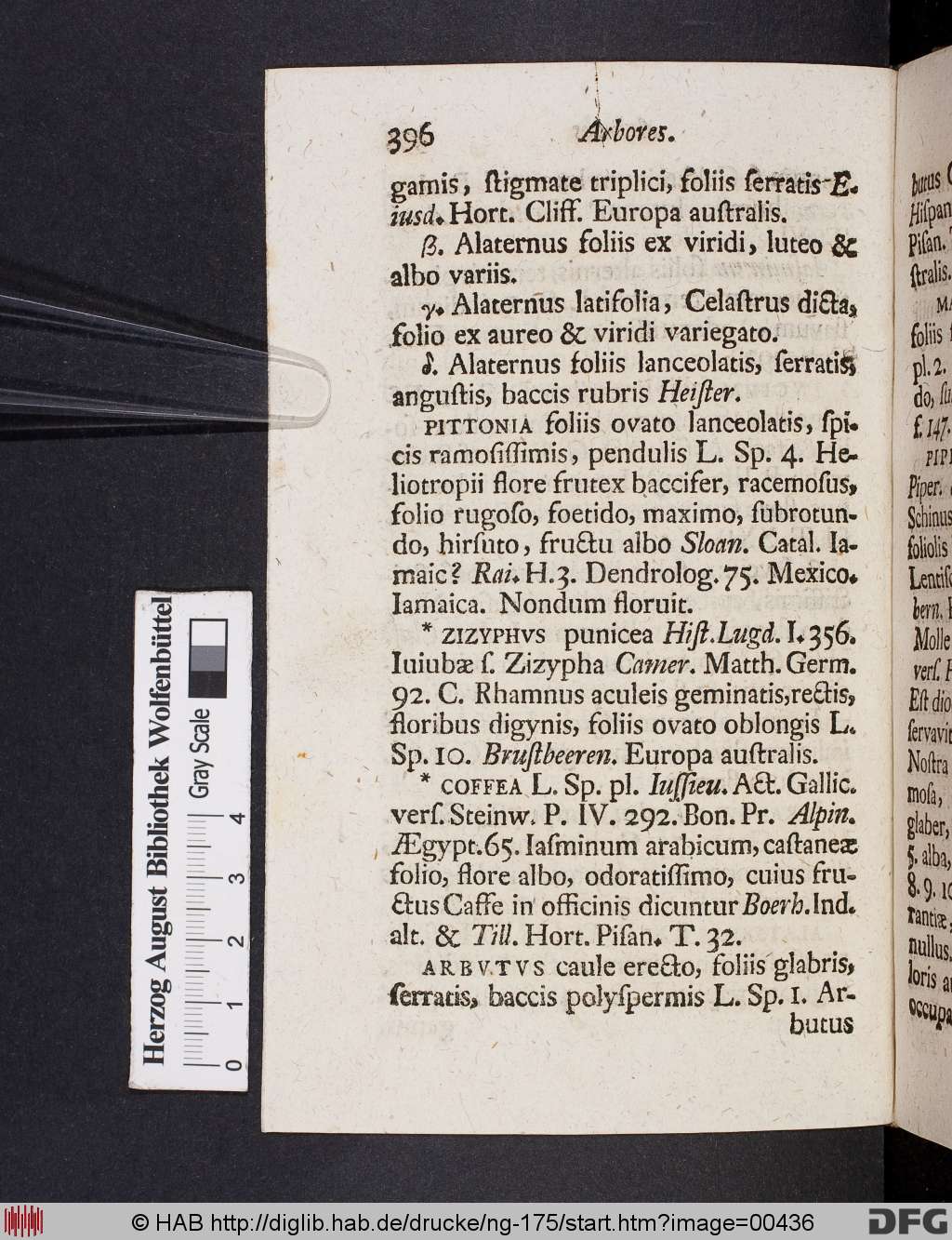http://diglib.hab.de/drucke/ng-175/00436.jpg