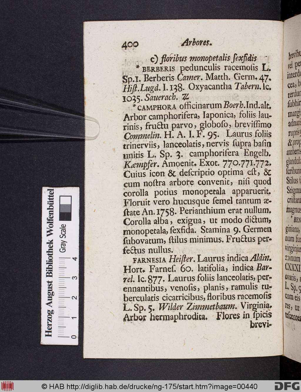 http://diglib.hab.de/drucke/ng-175/00440.jpg