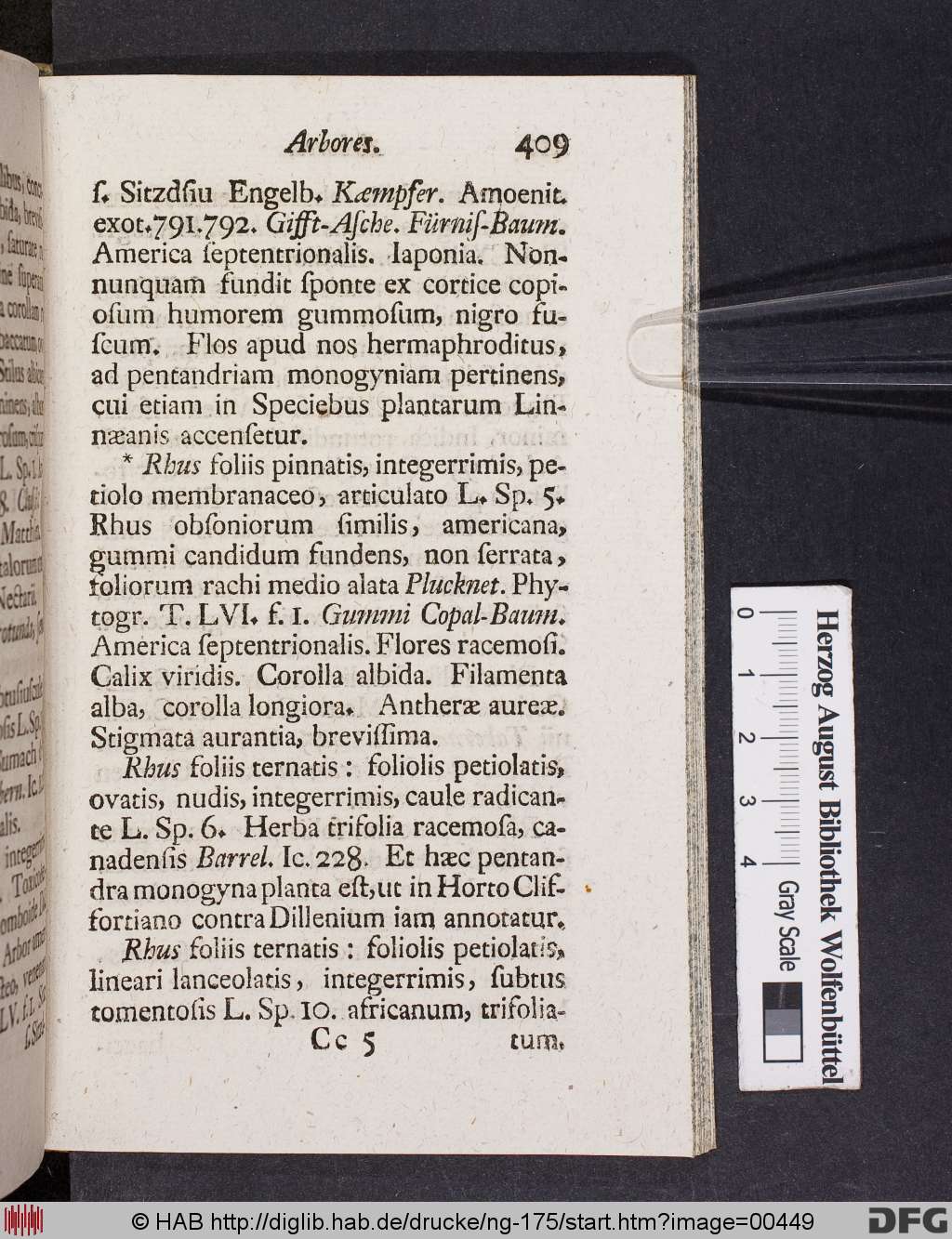 http://diglib.hab.de/drucke/ng-175/00449.jpg
