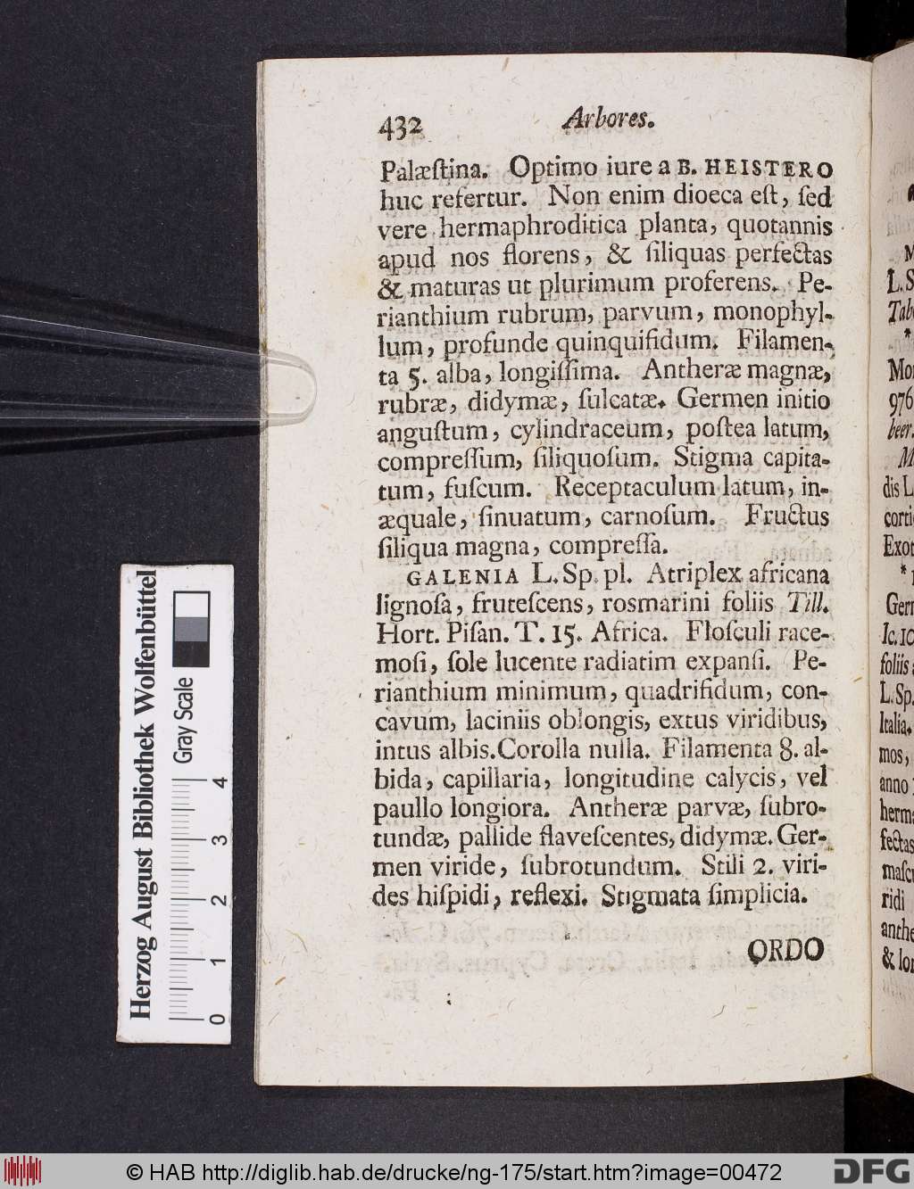 http://diglib.hab.de/drucke/ng-175/00472.jpg