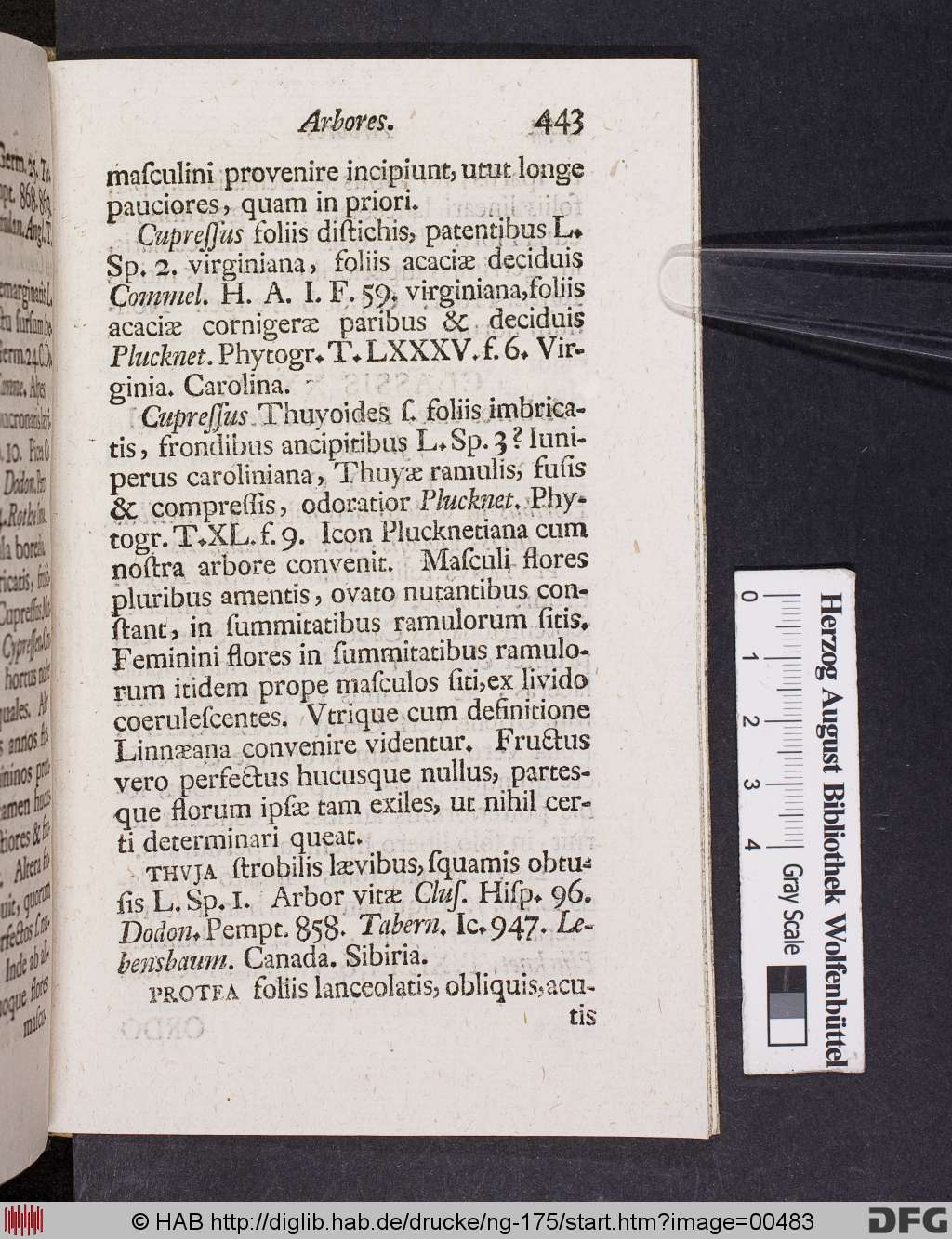 http://diglib.hab.de/drucke/ng-175/00483.jpg