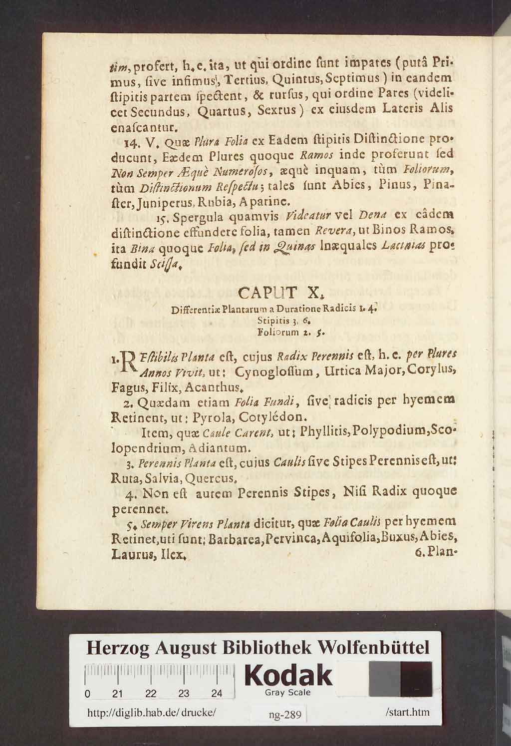 http://diglib.hab.de/drucke/ng-289/00028.jpg