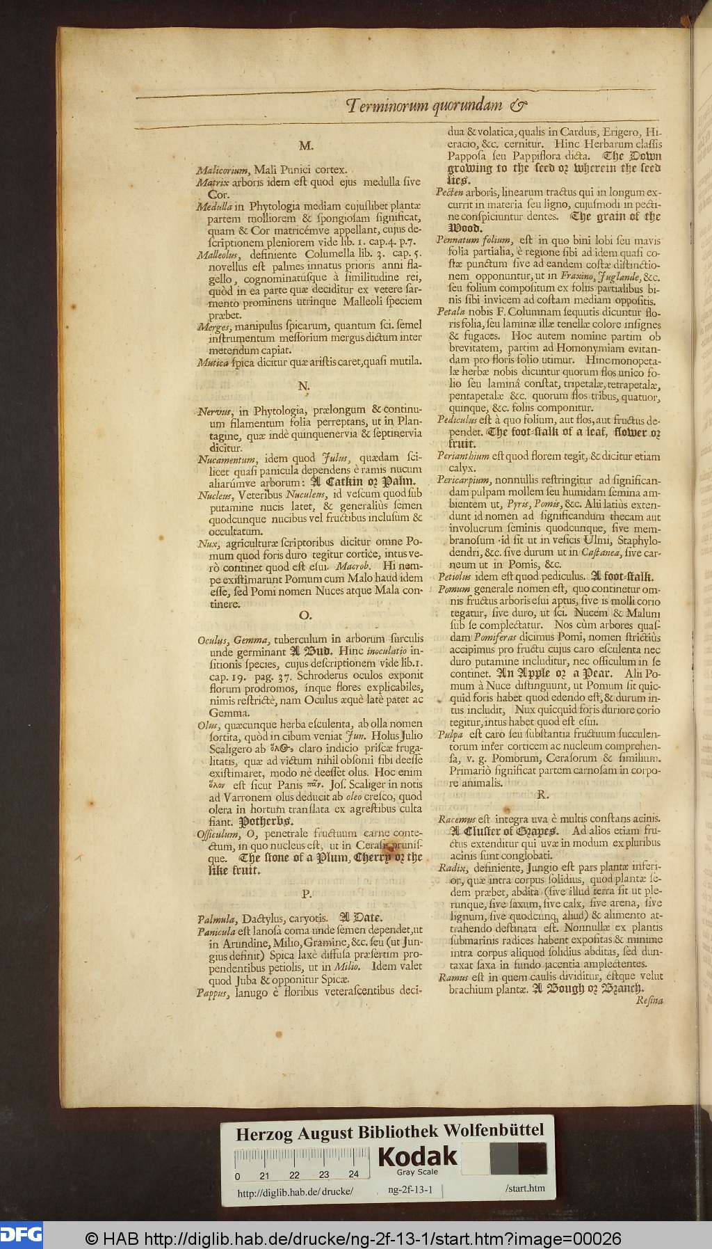 http://diglib.hab.de/drucke/ng-2f-13-1/00026.jpg