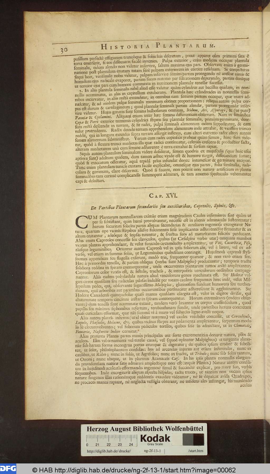 http://diglib.hab.de/drucke/ng-2f-13-1/00062.jpg