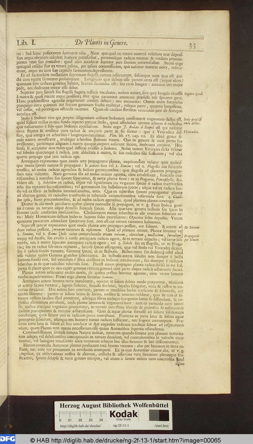 http://diglib.hab.de/drucke/ng-2f-13-1/00065.jpg