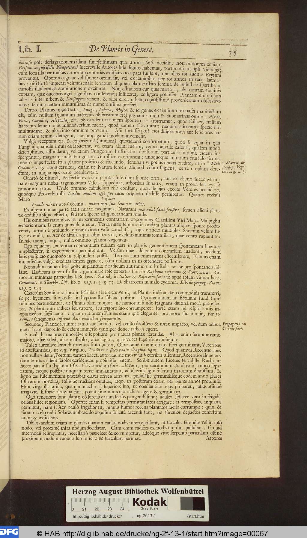 http://diglib.hab.de/drucke/ng-2f-13-1/00067.jpg