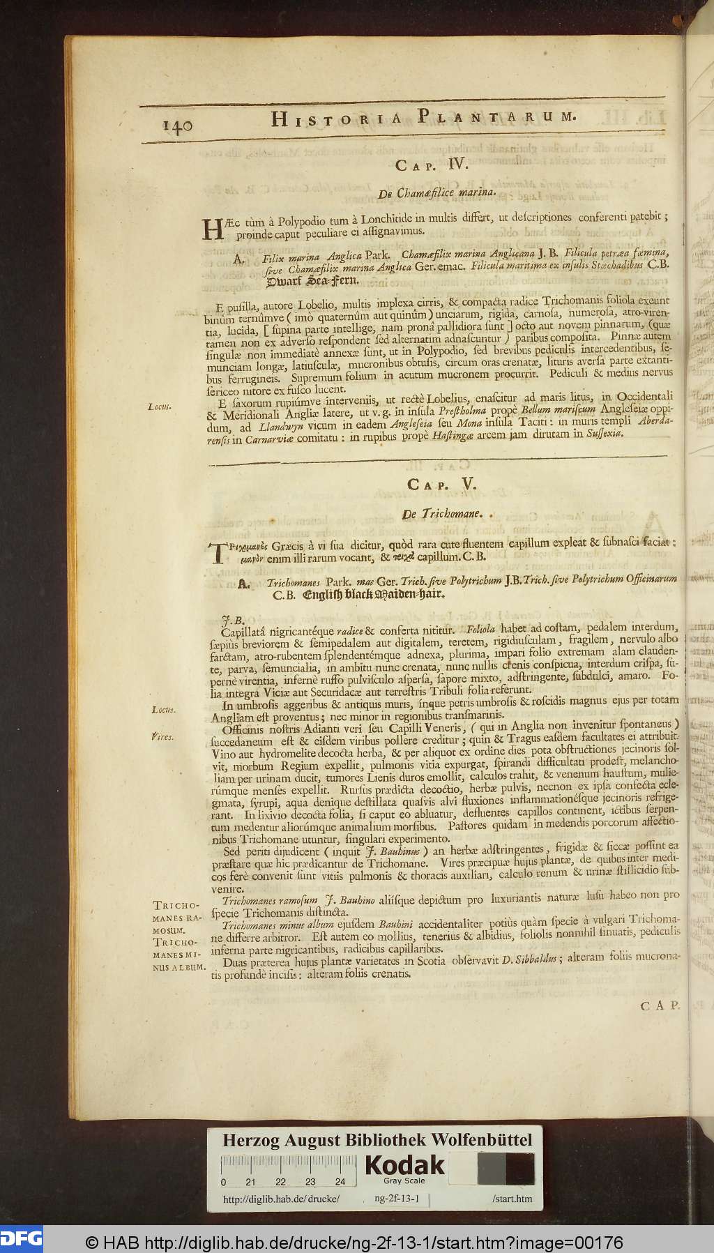 http://diglib.hab.de/drucke/ng-2f-13-1/00176.jpg