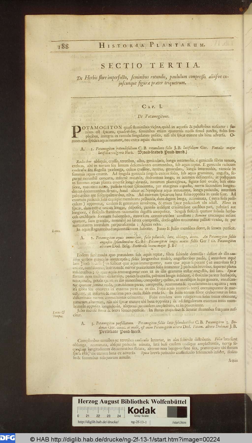 http://diglib.hab.de/drucke/ng-2f-13-1/00224.jpg