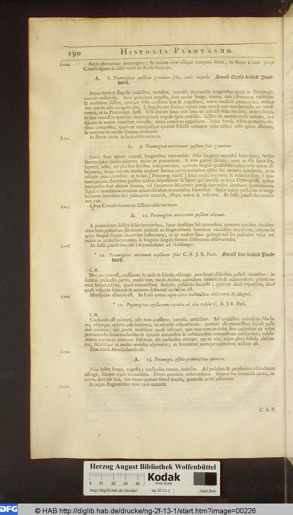 http://diglib.hab.de/drucke/ng-2f-13-1/00226.jpg